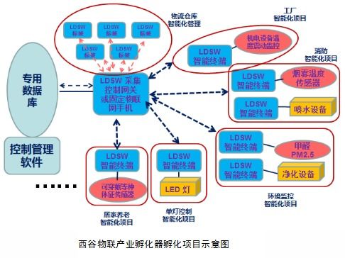 德兴达科技RFID产品亮相深圳物联网展，引领物联网技术服务新篇章